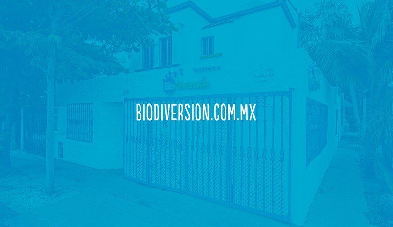 Biodiversión