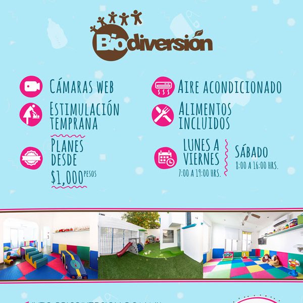 diseño web cancun