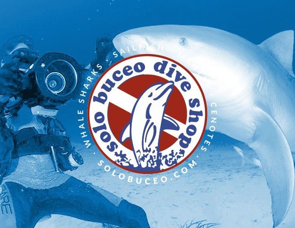 Sitio web para Solo Buceo