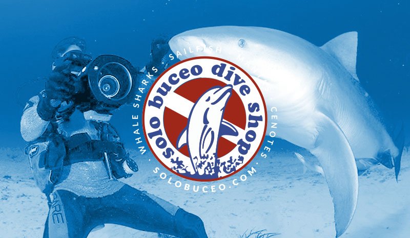 Sitio web para Solo Buceo